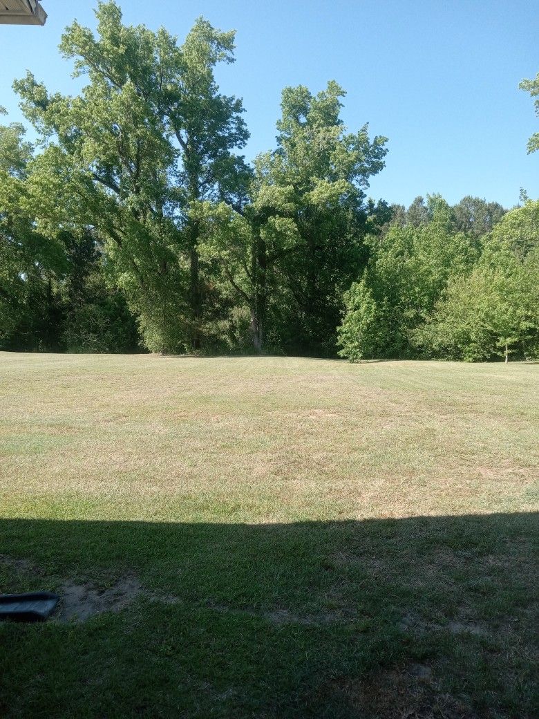 Trade For 1/2 Acre Min. In Conway Sc.
