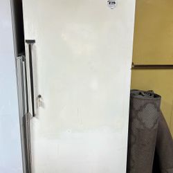 Full Size Stand Up Freezer  FREE!!!
