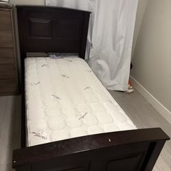 Twin Bed Like New 