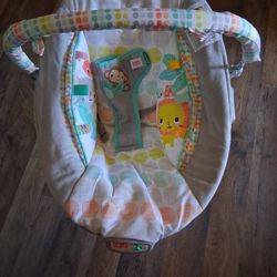 Baby Bouncer 