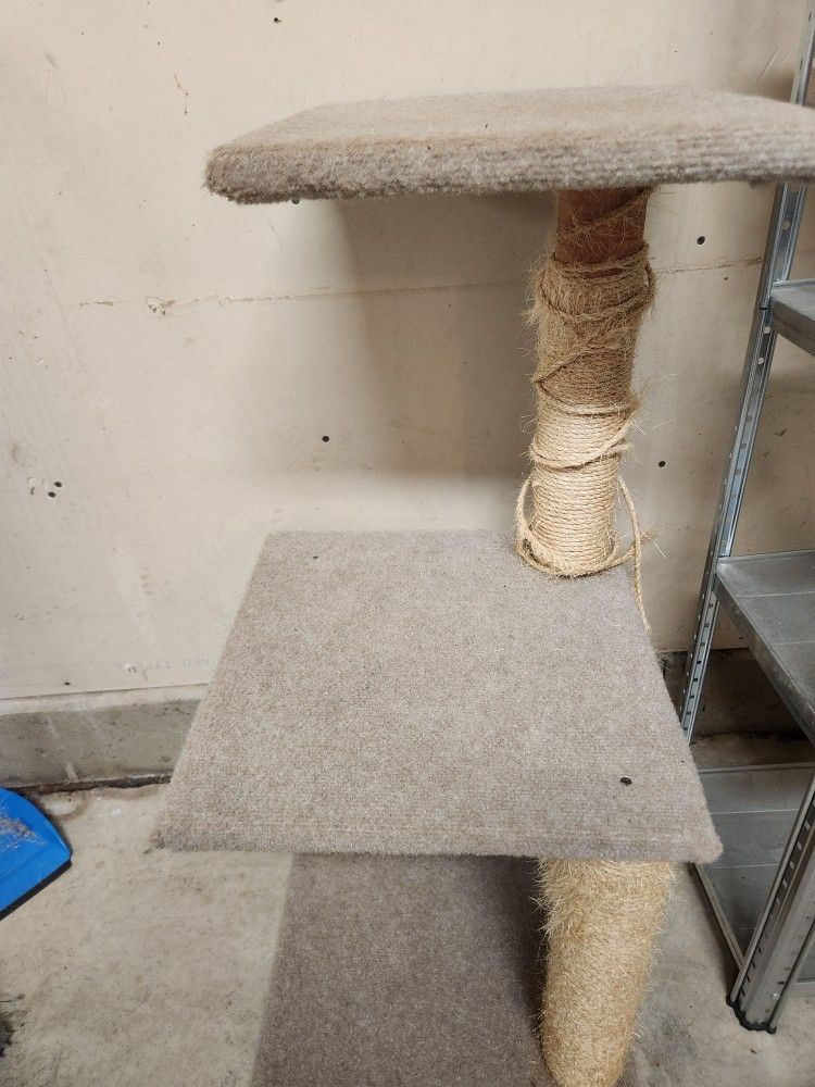 Cats Tree