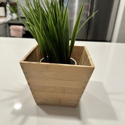 Modern Faux Plant