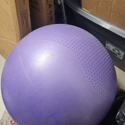 Exercise Ball 