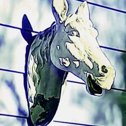 Horse Decore