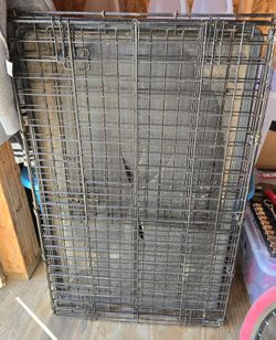 Large Dog Crete Free