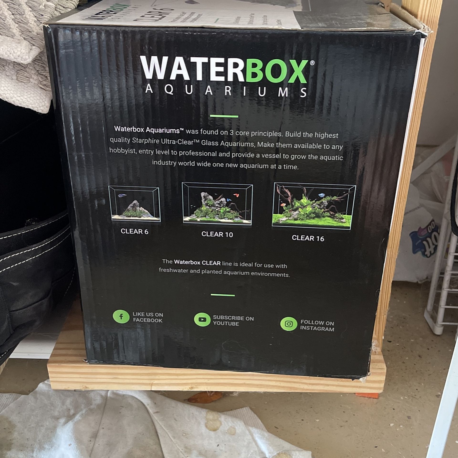 Waterbox 6 Gallons Rimless Aquarium