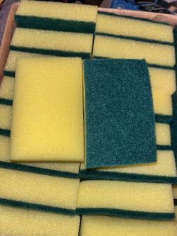 Scouring Sponge 10pc $2