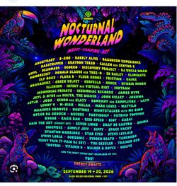 Nocturnal Wonderland 2 sunday wristbands