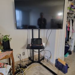 Vizio TV With Stand