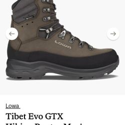 Lowa. Mountaineering Boots