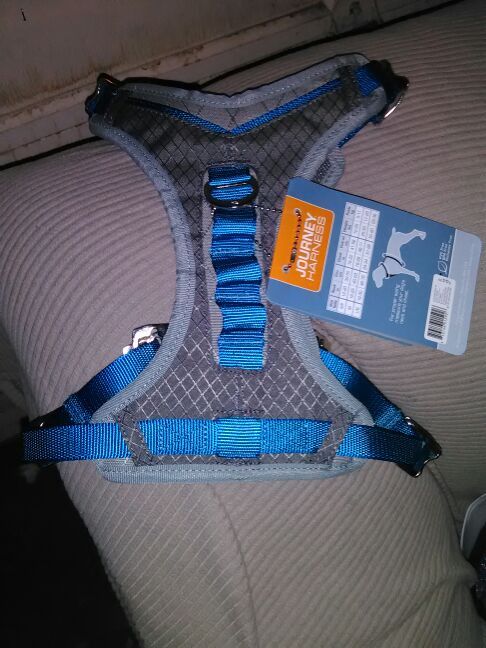 Doggy harness