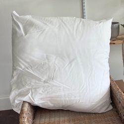 2 Pillow Inserts