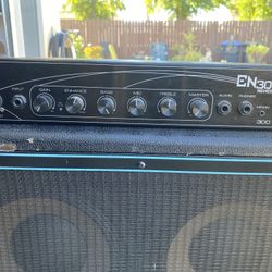 Acoustic Cabinet With Eden Amplifier 