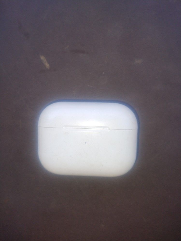 Apple iPod Pros Earbuds 