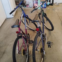 2 bicicletas de montaña