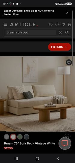 Braam Sofa Bed By Article