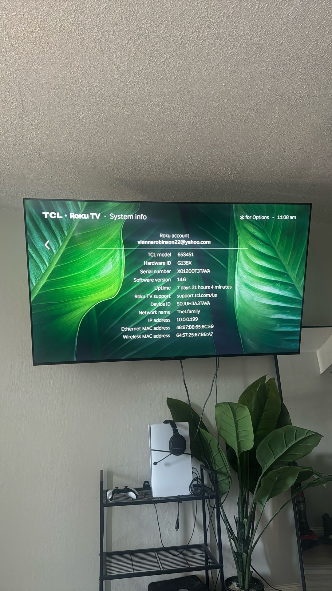 TV