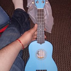 Ukulele 