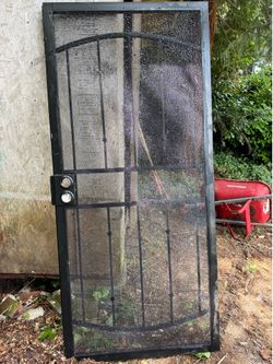 Steel security screen door