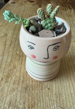 Cactus in small planter - bunny ears and burros tail