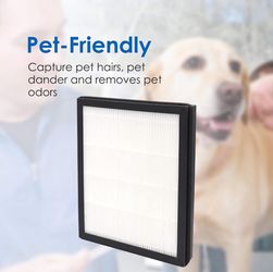 HEPA Replacement Filter A