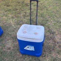 IGLOO ice cube Cooler