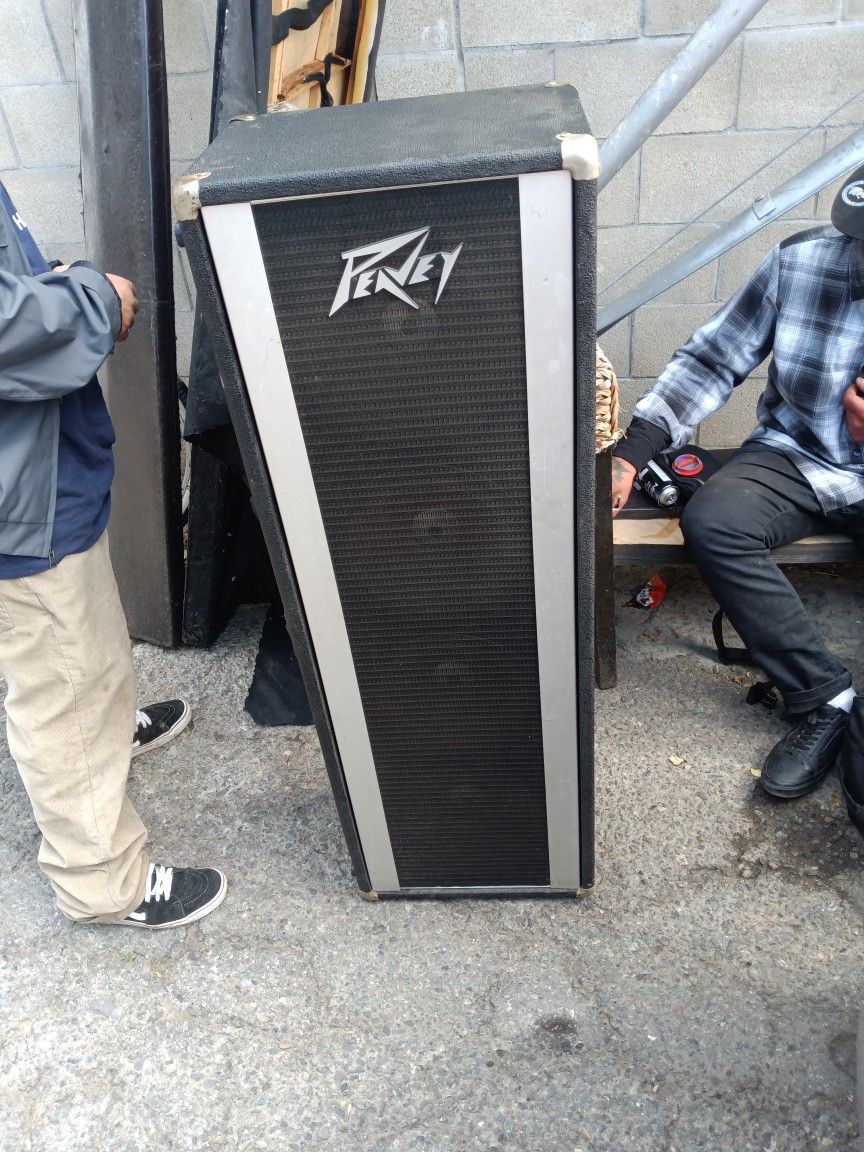 Peavey  4 / 10  Speakers 
