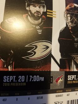 Anaheim ducks