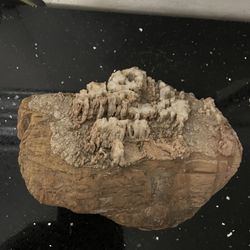 Cluster of Aragonite “Cave Calcite” Calcium Carbonate Mineral with a Different Crystal Structure 6”x 4”