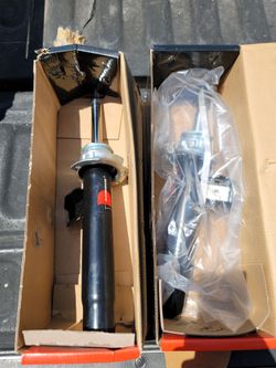 Front Bare Struts w/o Coil Spring, Set of 2 - Compatible with BMW