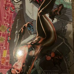 CatWomen Graphic Novel New