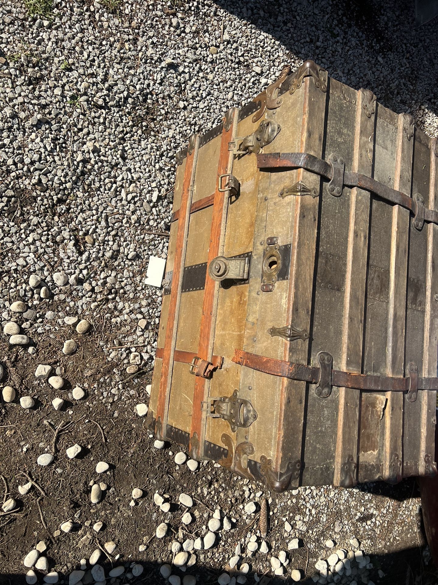 Old Trunk 