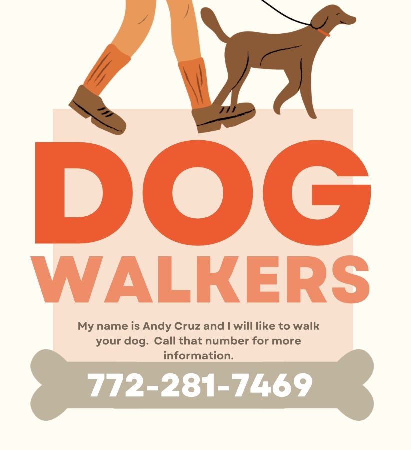 Waking Dogs In Port Saint Lucie
