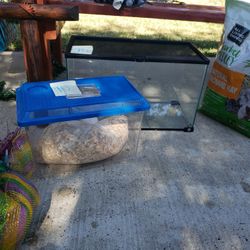 Pet Home