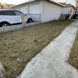 Clean ♻️ Clean ♻️ Clean♻️