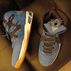 Nike Jordan Melo M9 Game Royal