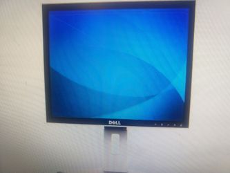 Dell Monitors Each
