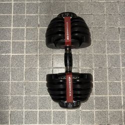 Bowflex Dumbbell 