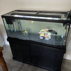 75 gallon aquarium hood cheap
