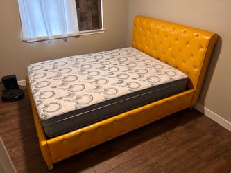 Queen Bed Frame and 1yo Mattress