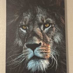 Lion Canvas Picture 