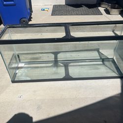 55 gallon fish tank