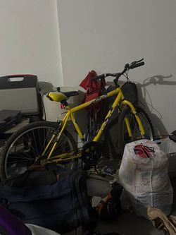 Adult bicycle