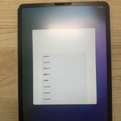 iPad Pro