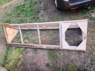 Baby Chick/Chicken Run 