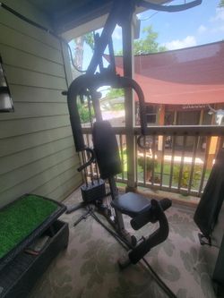 Exercise bench