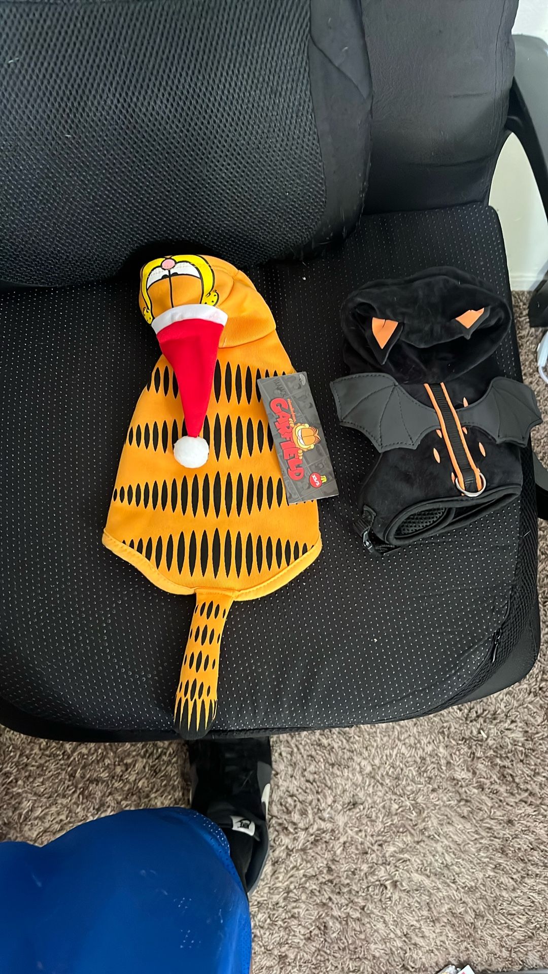 Two Small Pet Costumes