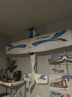 1.2m blue jay