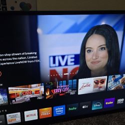 Vizio TV 43"