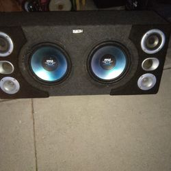 2 Ten Inch Subwoofers Dual Brand In box